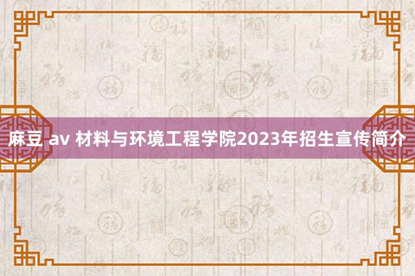 麻豆 av 材料与环境工程学院2023年招生宣传简介