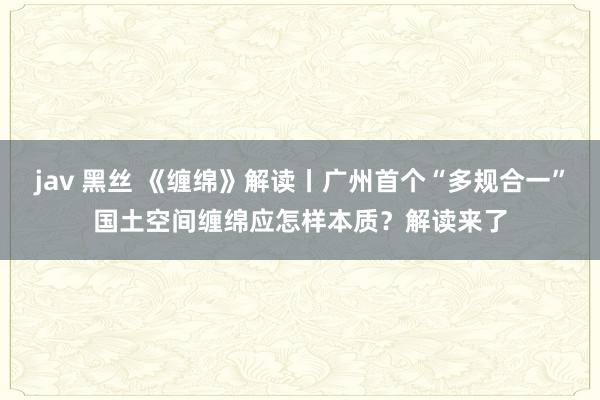 jav 黑丝 《缠绵》解读丨广州首个“多规合一”国土空间缠绵应怎样本质？解读来了