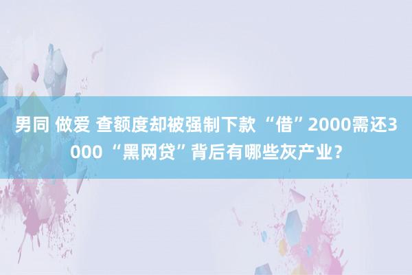 男同 做爱 查额度却被强制下款 “借”2000需还3000 “黑网贷”背后有哪些灰产业？