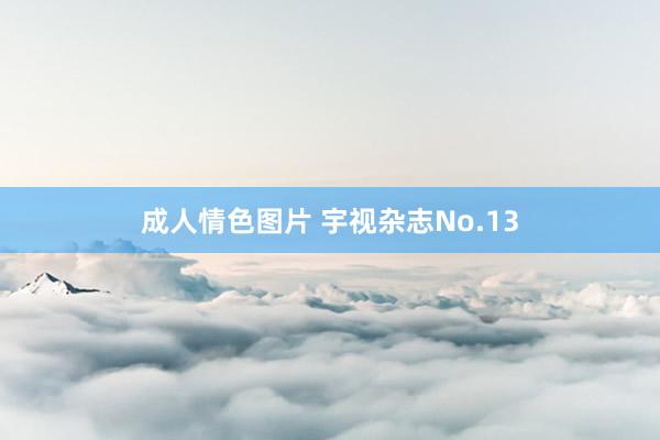 成人情色图片 宇视杂志No.13